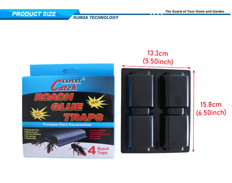 roach glue trap