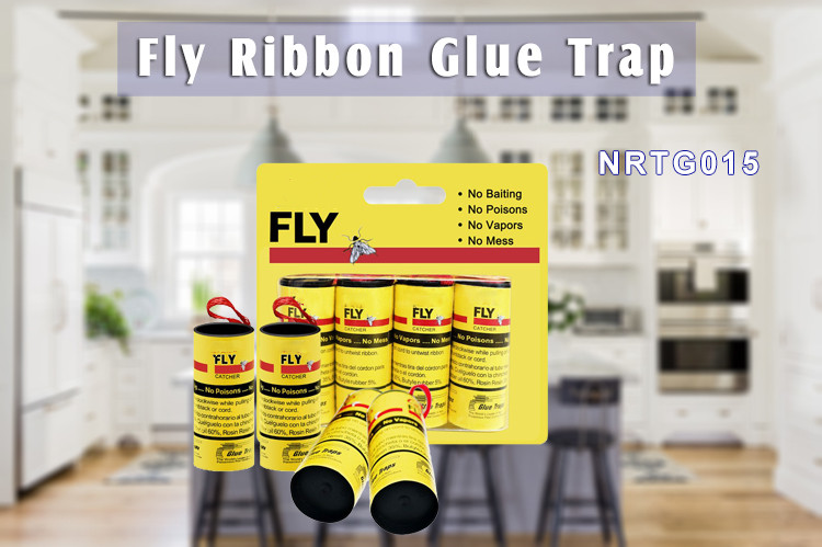 fly ribbon