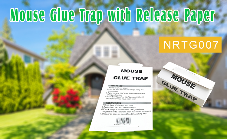 mouse glue trap mouse glue trap