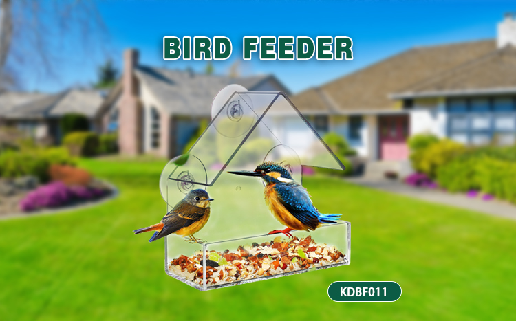 Acrylic Bird Feeder