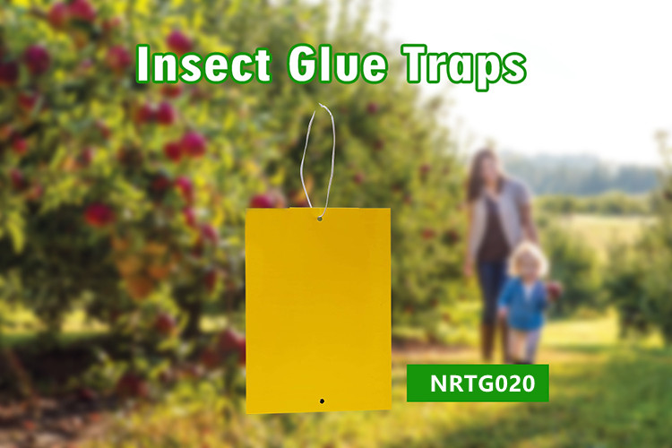 Yellow Insect Traps Yellow Sticky Traps for Insects-NRTG022 - Hangzhou Kunda Technology Co ...