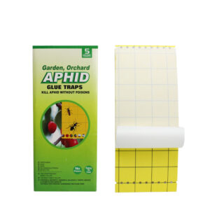 aphid glue trap
