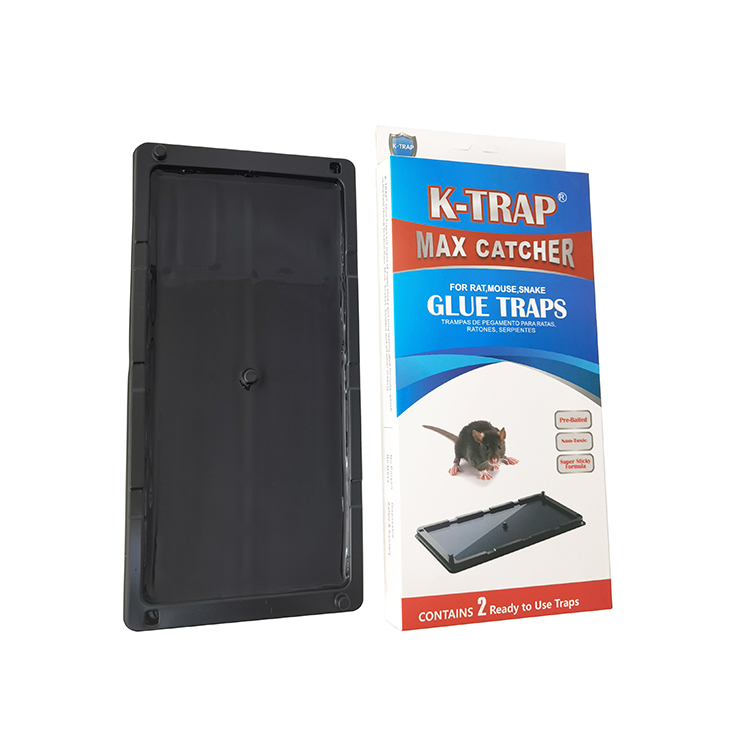 Rat glue trap with Plastic Tray Base K trap-NRTG005U