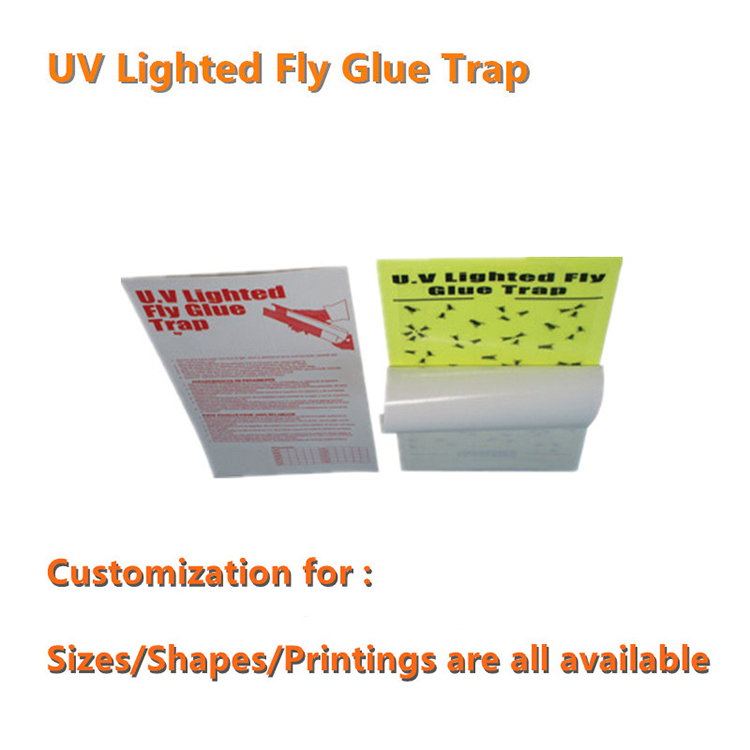 Replacement Glue Boards for UV Fly and Insect Light Traps