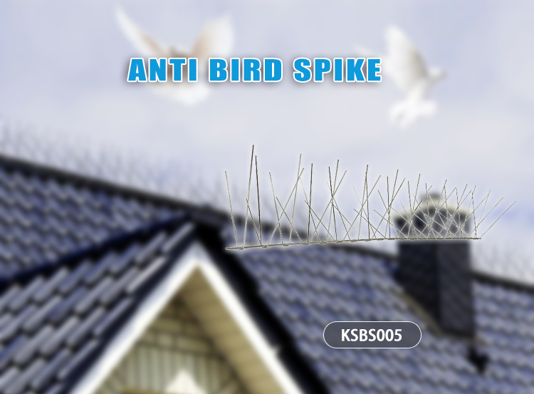 bird spike factory bird spike factory